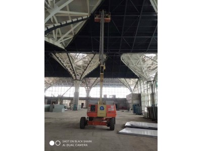 上海金山区自行登高车升降机按月按天出租价格图4