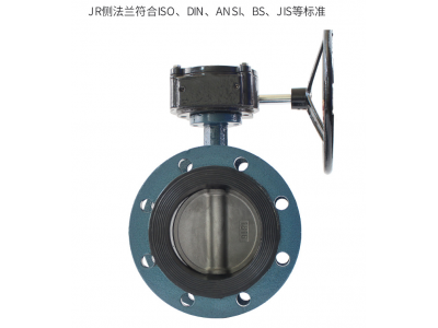工厂直供D341X-10Q球墨铸铁涡轮法兰蝶阀耐磨软密封蝶阀现货图3