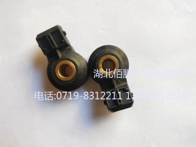 天然气发动机配件BGE5.9爆震传感器3607945 0261231128 2897654图2