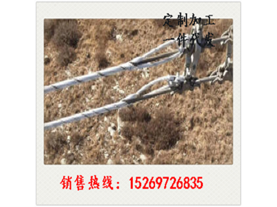 安全备份线夹电力金具线路保护防坠落夹具图3