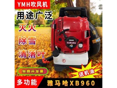 背负式园林吹风机 马路背负式吹风机 沥青路面清理吹风机图2