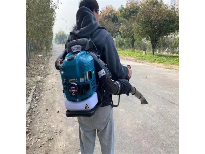 背负式园林吹风机 马路背负式吹风机 沥青路面清理吹风机图4