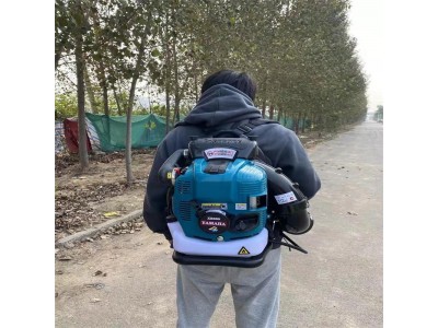 背负式马路吹风机 便携式吹风机 路面吹风机 背负式路面吹风机图4