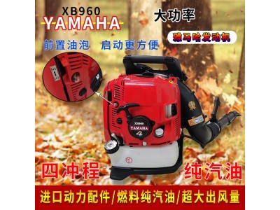 背负式马路吹风机 便携式吹风机 路面吹风机 背负式路面吹风机图2