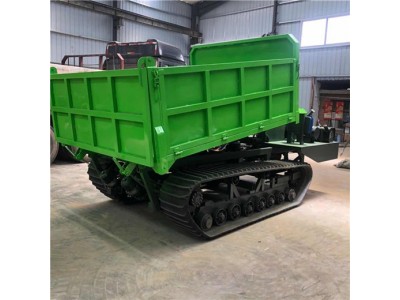 小型履带式运输车 全地形座驾式履带运输车图2