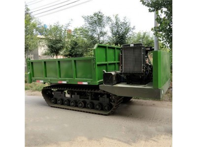 小型履带式运输车 全地形座驾式履带运输车图4