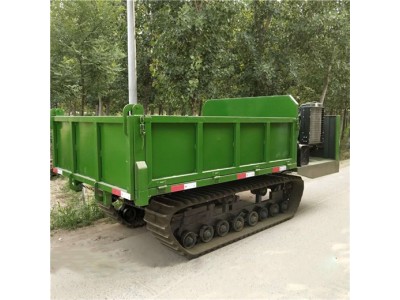 小型履带式运输车 全地形座驾式履带运输车图3