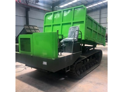 小型履带式运输车 全地形座驾式履带运输车图2