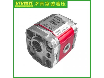 意大利：VIVOIL齿轮泵XV1P/0.9至25.7D图2