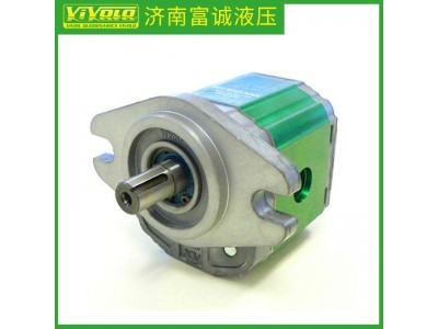 意大利：VIVOIL齿轮泵XV1P/0.9至25.7D图3