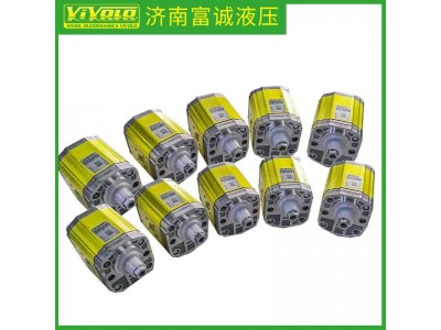 意大利：VIVOIL齿轮泵XV1P/0.9至25.7D图4