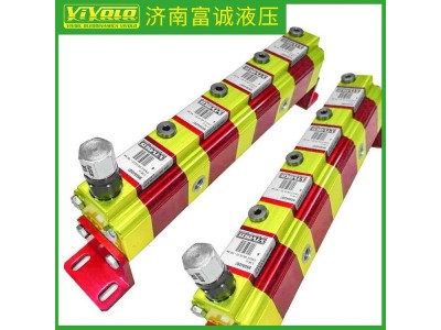 意大利VIVOIL同步分流马达RV1S/5.9*4图3