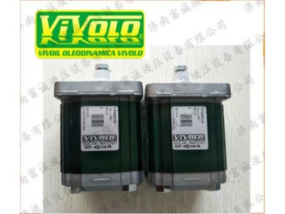 意大利：VIVOIL齿轮泵XV3P图3