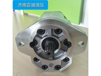 丹佛斯SNP2NN图4