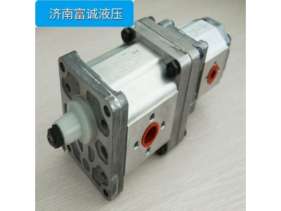 丹佛斯齿轮泵SNP1NN/3,2RN03CA03F3F3NNNN/NNNNN图3