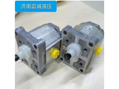 丹佛斯齿轮泵SNP1NN/3,2RN03CA03F3F3NNNN/NNNNN图4
