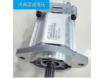 丹佛斯齿轮泵SNP1NN/3,2RN03CA03F3F3NNNN/NNNNN图5