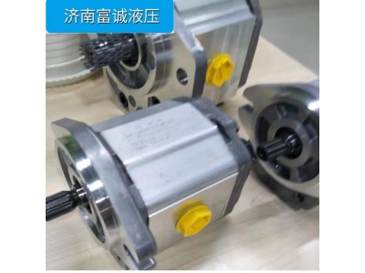 丹佛斯系列齿轮泵SNP1NN/7,8RN03CA03F3F3NNNN/NNNNN图5
