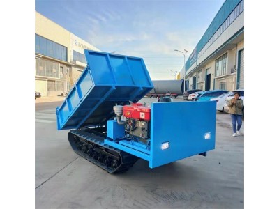 履带运输车 四不像运输车 全地形爬山虎橡胶履带式图5