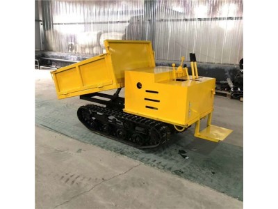 加工定制履带运输车 橡胶履带式运输车 农用工程自卸车图4