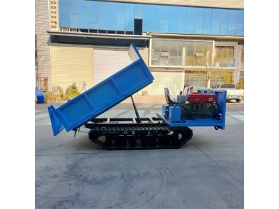 小型履带搬运车 果园农用型爬山虎 厂家供应履带运输车图3