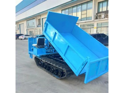 小型履带搬运车 果园农用型爬山虎 厂家供应履带运输车图5