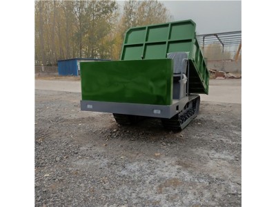 履带运输车 山地爬坡拉运建材拉货运输车厂家批发图3