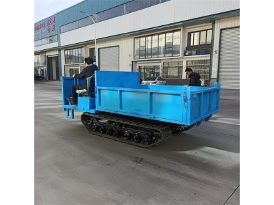 现货供应矿用履带运输车 4吨小型工程履带运输车图3