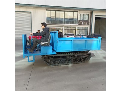 现货供应矿用履带运输车 4吨小型工程履带运输车图2