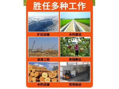 爬山虎运输车果园全地形山地搬运车重运输自卸爬坡王图2
