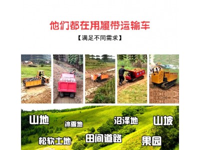 爬山虎运输车果园全地形山地搬运车重运输自卸爬坡王图3