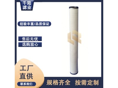千陆替代JONELL - JPMG-636-1V天然气管道过滤器滤芯图2