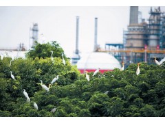石化基地生态治理，绿色产业平稳运行|2023天津工博会