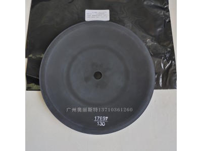 美国fisherEZR燃气减压阀EZR/DN100/300RF调压器图2