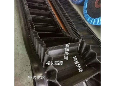 青岛大倾角提升机传送带 物料提升带 炜泰橡胶图3