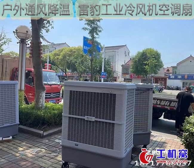 户外通风降温雷豹工业冷风机空调扇
