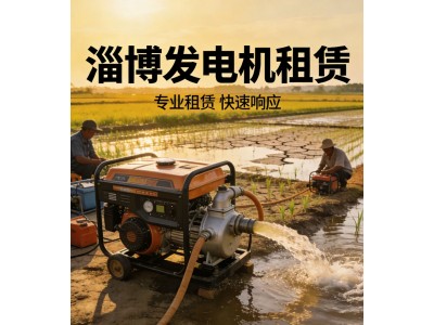 淄博附近发电机出租电话 24小时可联系图3